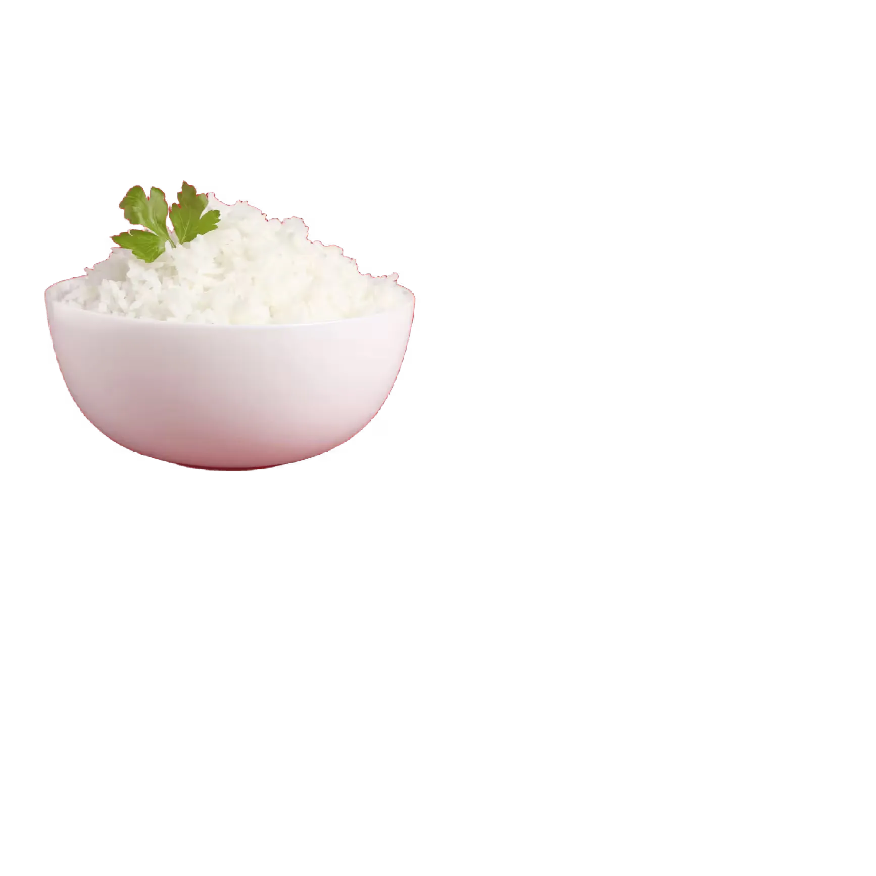 Taza de arroz blanco